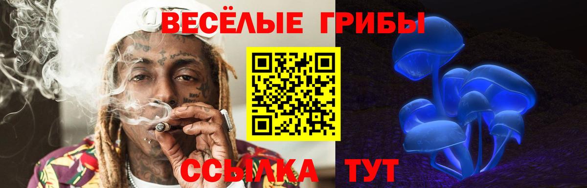 Галлюциногенные грибы Magic Shrooms Сызрань