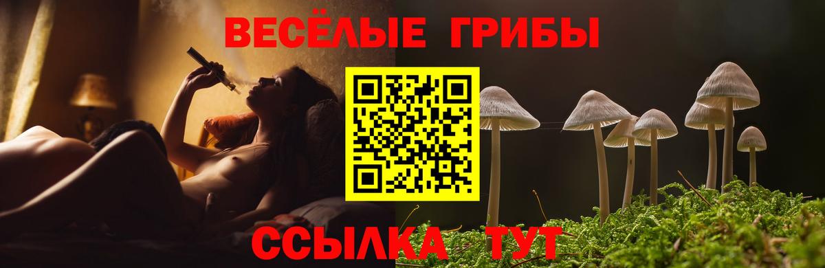 Псилоцибиновые грибы Magic Shrooms  купить   Вход с VPN  Сызрань  Галлюциногенные грибы Magic Shrooms 